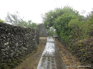 iesa Madonna Bambina03-05-2014 19-53-55